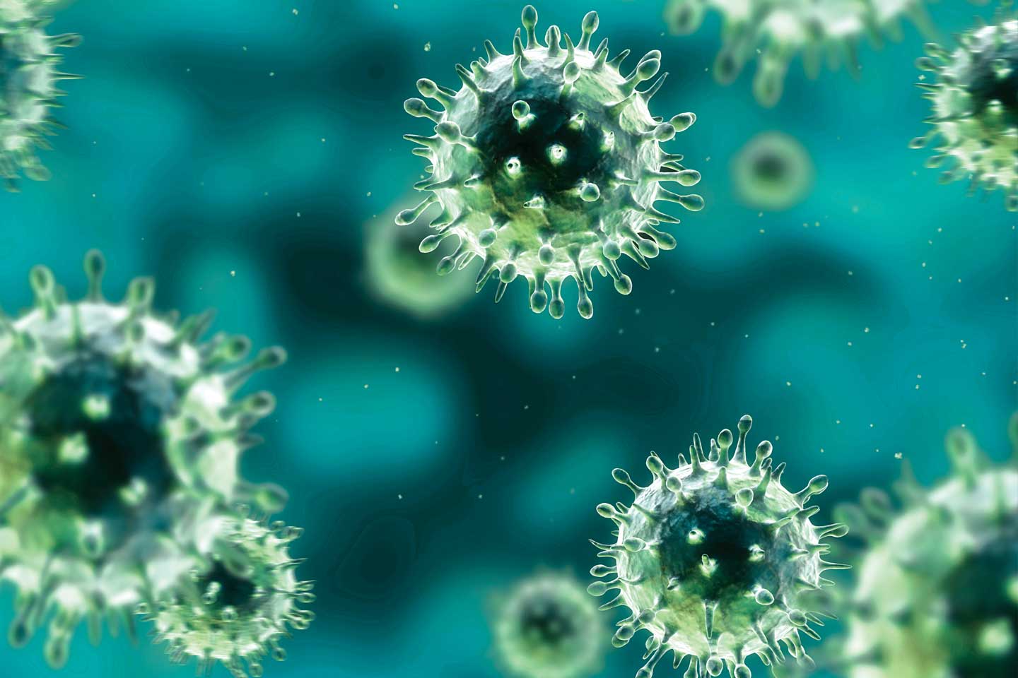 Coronavirus